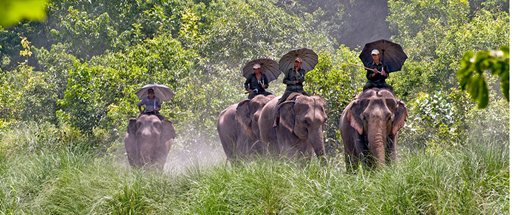 Bardiya National park
