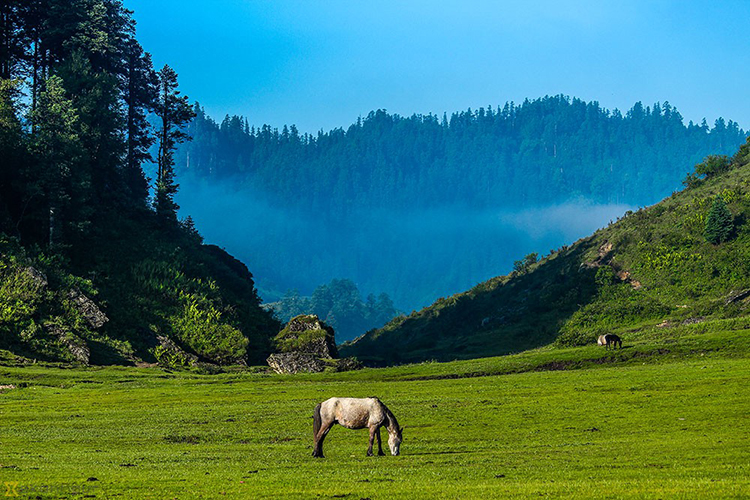 Khaptad National Park